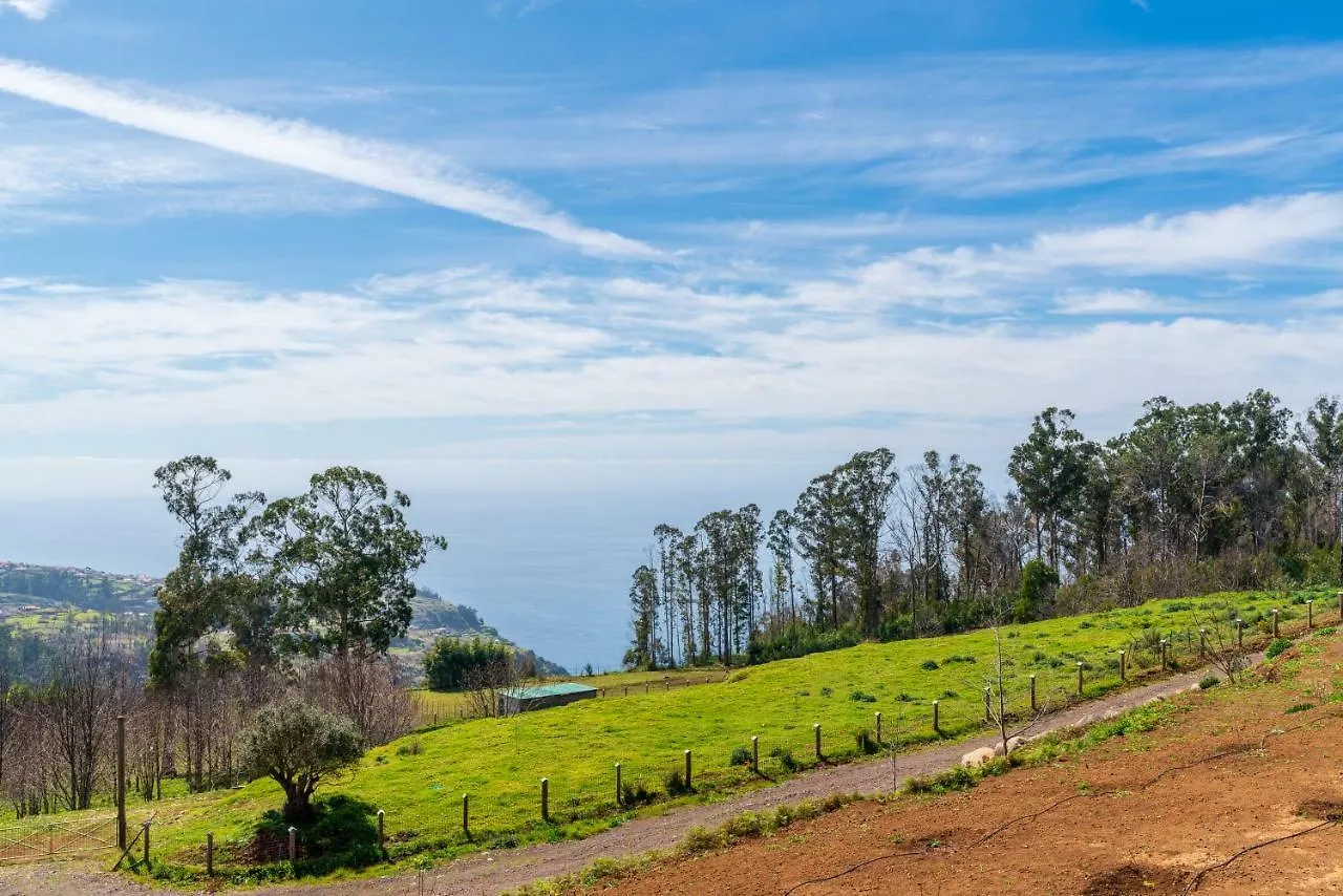 Guest house Rochao Village By Rent2U, Lda Calheta